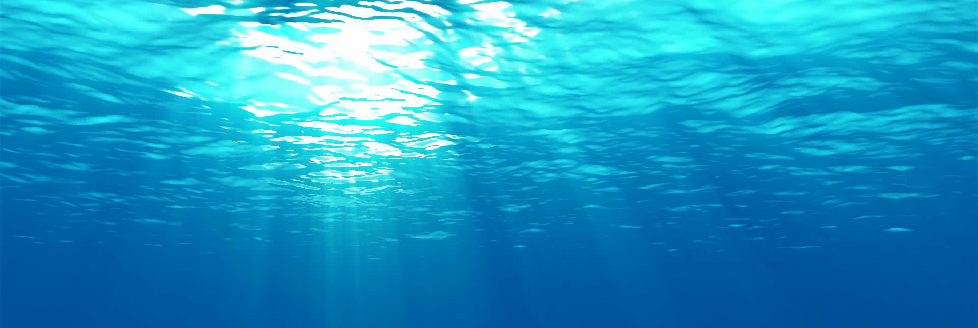 SMO Service in Lucknow